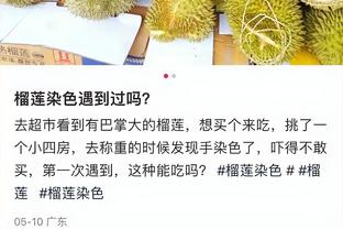 开云官方入口官网首页截图4